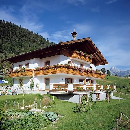 Ferienhaus Rosi Sankt Martin am Tennengebirge Esterno foto