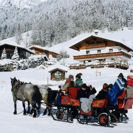Ferienhaus Rosi Sankt Martin am Tennengebirge Esterno foto